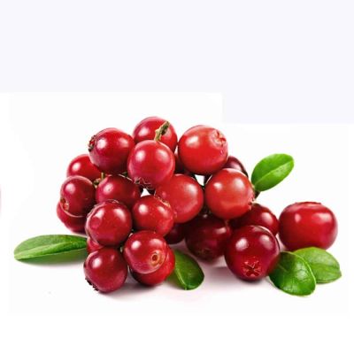 Cranberry bio origine france naturactive