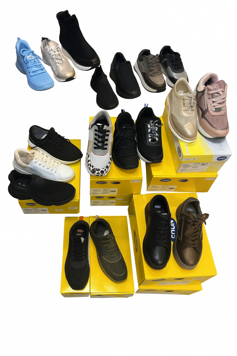 COLLECTION SCHOLL 2025