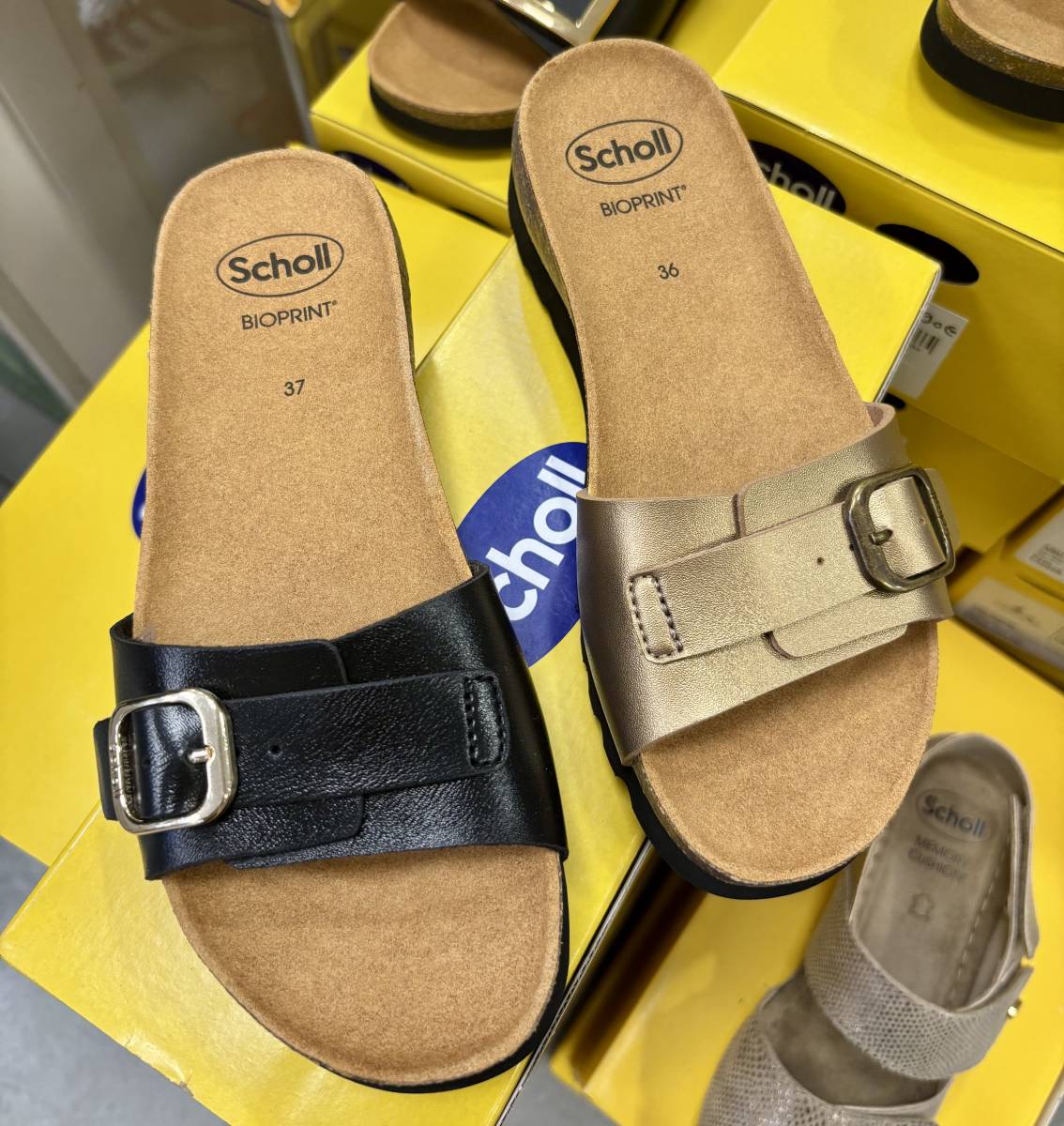 COLLECTION SCHOLL FEMME 2025 DISPONIBLE PHARMACIE PETIT BOSQUET 