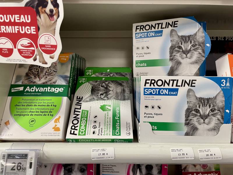 frontline spot on chat