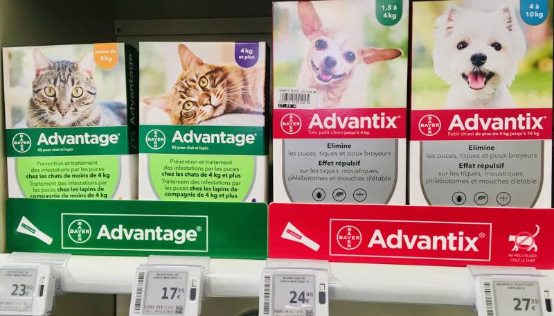 Pipettes advantage et advantix en pharmacie