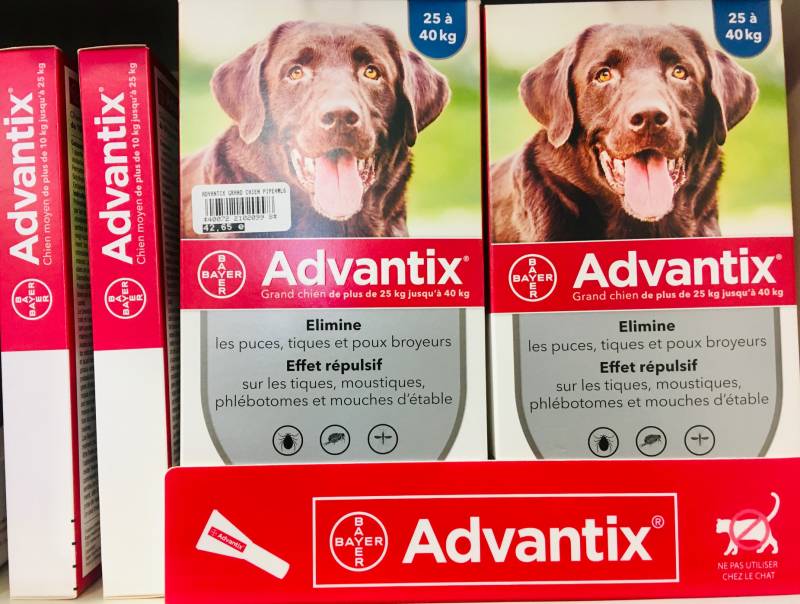 ADvantix grand chien en pharmacie