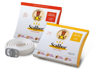 SCALIBOR à marseille